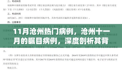滄州十一月矚目病例深度解析，背景、進(jìn)展與影響探究
