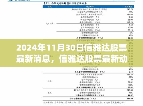 信雅達股票最新動態(tài)，與自然美景的邂逅，啟程尋找寧靜之舟之旅（2024年11月30日）