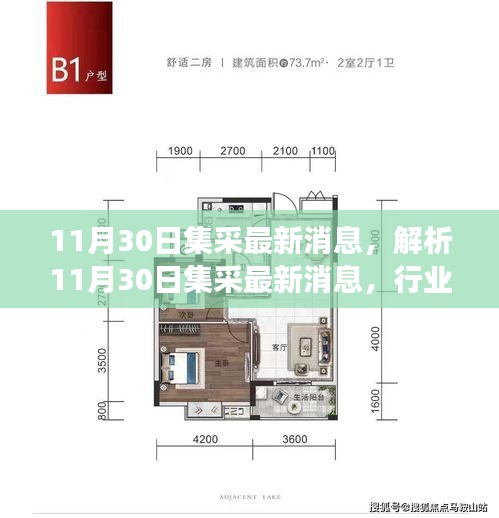 解析，從行業(yè)變革與個人立場看，11月30日集采的最新消息動態(tài)