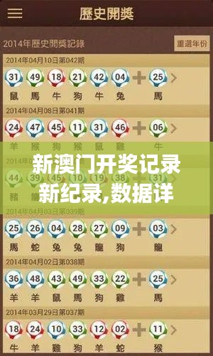 新澳門(mén)開(kāi)獎(jiǎng)記錄新紀(jì)錄,數(shù)據(jù)詳解說(shuō)明_全球版LNA99.942