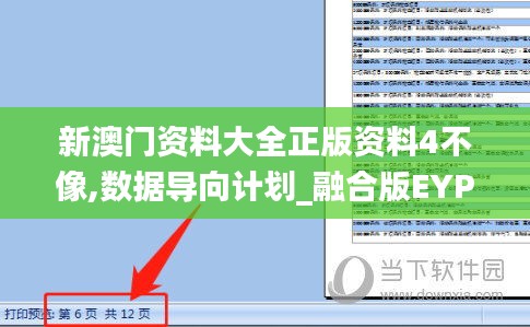 新澳門資料大全正版資料4不像,數(shù)據(jù)導(dǎo)向計(jì)劃_融合版EYP13.687
