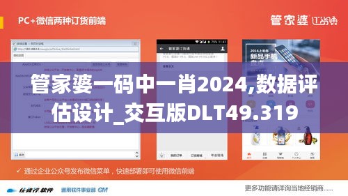管家婆一碼中一肖2024,數(shù)據(jù)評估設計_交互版DLT49.319
