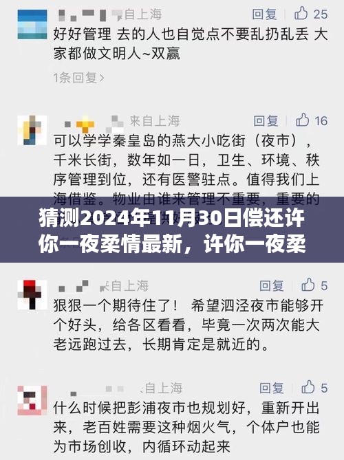 許你一夜柔情，深度評測、特性體驗、競品對比及用戶群體分析