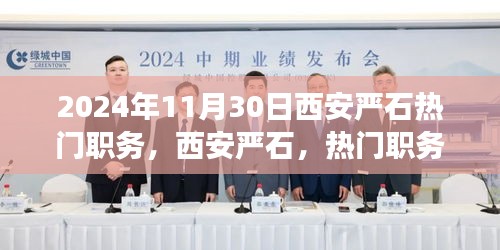 揭秘西安嚴(yán)石熱門職務(wù)背后的故事與影響，2024年回顧