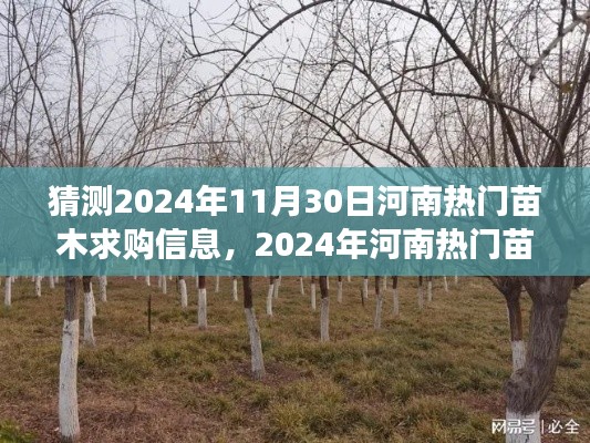 2024年河南熱門苗木求購信息預(yù)測，多方視角解讀與觀點碰撞，未來趨勢展望