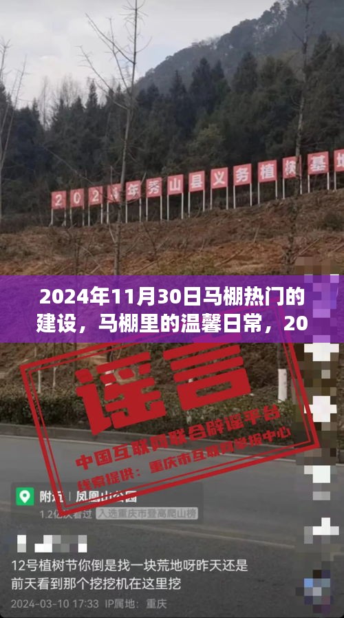 馬棚溫馨日常與熱鬧建設(shè)之旅，2024年11月30日的記錄