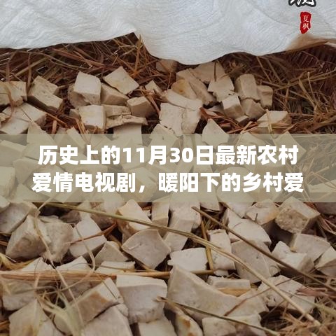 暖陽下的鄉(xiāng)村愛情，十一月三十日的甜蜜日常