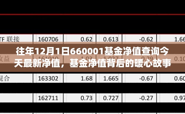 友情與陪伴的溫馨旅程，揭秘最新基金凈值背后的暖心故事——關(guān)于基金凈值查詢的最新動態(tài)（今日更新）