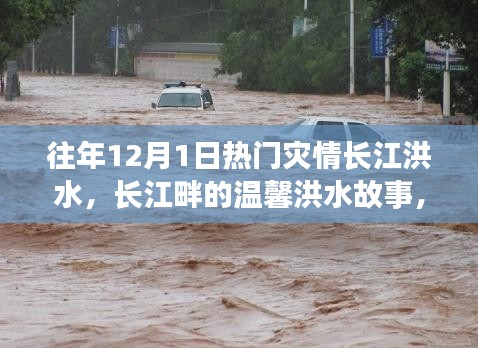 長(zhǎng)江畔的溫馨洪水故事，友情、家庭與陪伴的十二月回憶