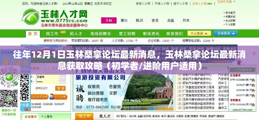 往年12月1日玉林桑拿論壇最新消息全解析，獲取攻略初學(xué)者與進階用戶必讀