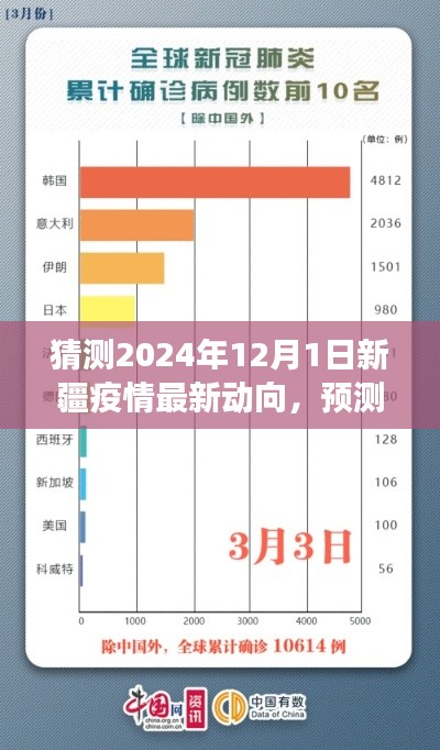 以2024年視角看新疆疫情，最新動態(tài)分析與未來動向預(yù)測