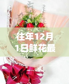 往年12月1日鮮花最新包裝圖片探析，視覺盛宴的背后利與弊