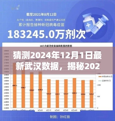 揭秘武漢未來，深度分析與預(yù)測，預(yù)測武漢最新數(shù)據(jù)至2024年12月1日揭曉！