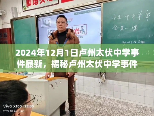 揭秘盧州太伏中學事件最新進展，深度解析與探討（最新消息）