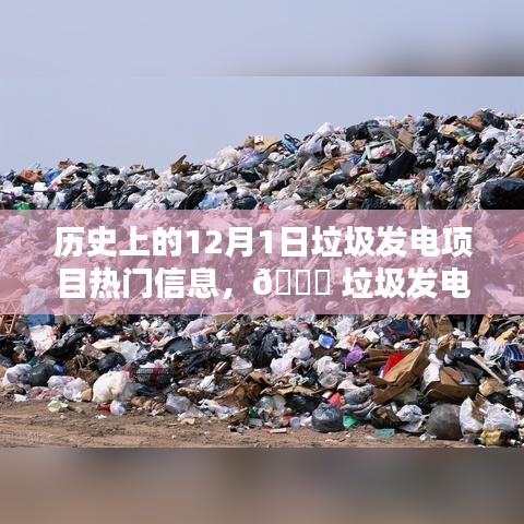 揭秘垃圾發(fā)電項目的科技魅力與最新體驗，歷史上的12月1日垃圾發(fā)電項目熱門信息回顧與前沿展望