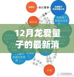 揭秘十二月龍愛(ài)量子最新動(dòng)態(tài)，進(jìn)展、領(lǐng)域地位與背景解析