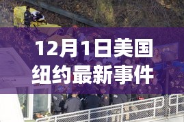 紐約最新事件，夢(mèng)想起航之地，學(xué)習(xí)變革照亮未來之路