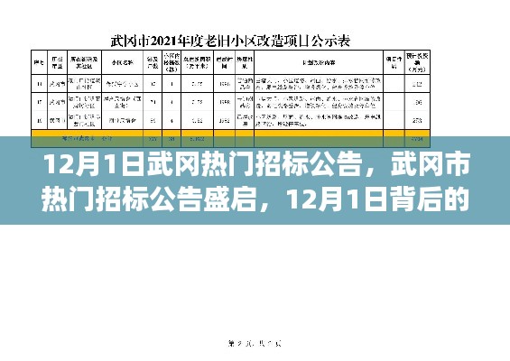 揭秘武岡市熱門招標(biāo)公告背后的故事與影響，12月1日盛啟