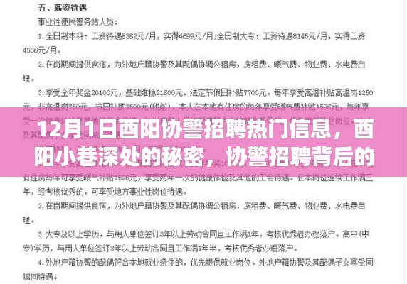 酉陽協(xié)警招聘背后的故事，小巷深處的秘密與獨特小店之旅