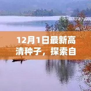 冬日的暖陽之旅，追尋內(nèi)心平靜的種子，探索自然美景的啟程
