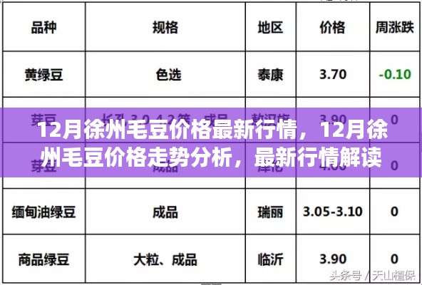 徐州毛豆行情解析，最新價格走勢與解讀