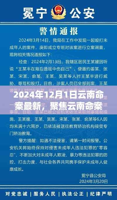 聚焦云南命案，最新進展與深度解讀（2024年12月版）