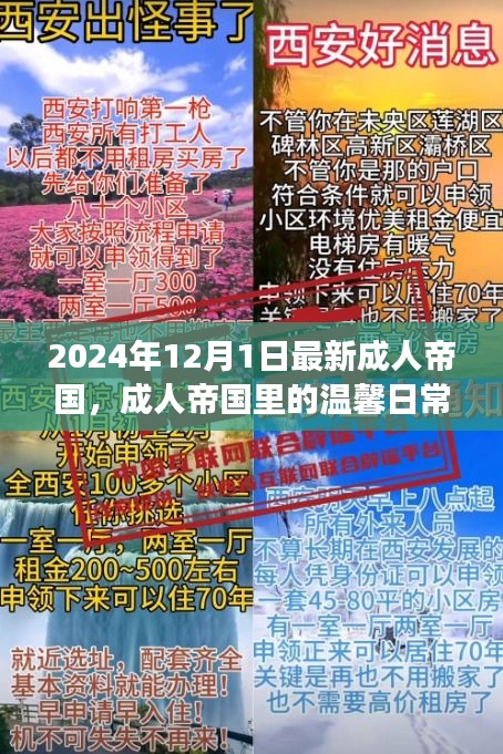 成人帝國里的溫馨日常，陽光故事2024年12月1日