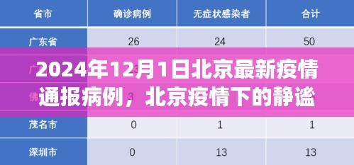 北京疫情通報病例下的靜謐之旅，自然美景的心靈之旅