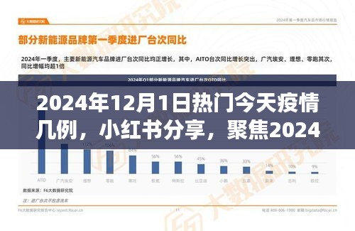 小紅書分享，聚焦2024年12月1日疫情最新動態(tài)及今日疫情數(shù)據(jù)報告