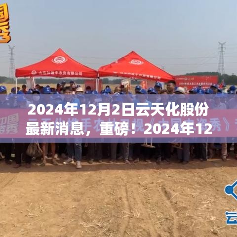 獨家揭秘，云天化股份最新動態(tài)與未來展望（2024年12月2日更新）