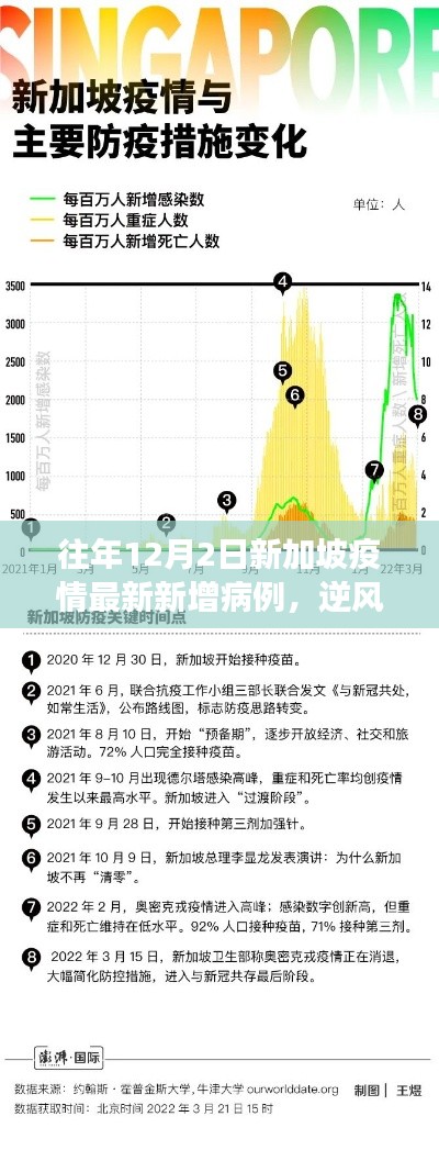 新加坡疫情下的勵(lì)志篇章，逆風(fēng)砥柱，學(xué)習(xí)變化的力量與自信之路——?dú)v年12月2日最新數(shù)據(jù)回顧