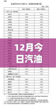最新汽油價格分析，揭示多重因素背后的走勢與個人觀點