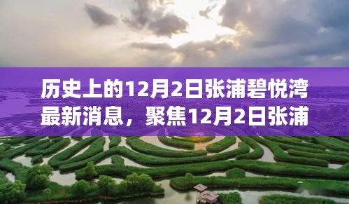 聚焦張浦碧悅灣最新動態(tài)，深度解讀12月2日新消息及其影響