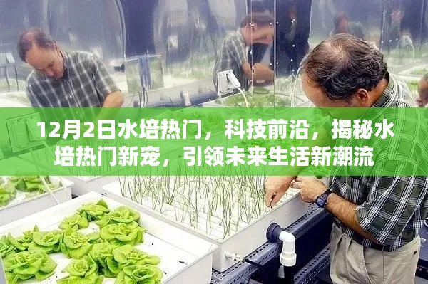 揭秘水培熱門新寵，引領(lǐng)未來(lái)生活潮流，科技前沿揭秘水培趨勢(shì)分析
