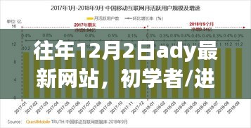 往年12月2日最新網(wǎng)站使用教程，初學(xué)者與進(jìn)階用戶指南——需注意法律風(fēng)險(xiǎn)