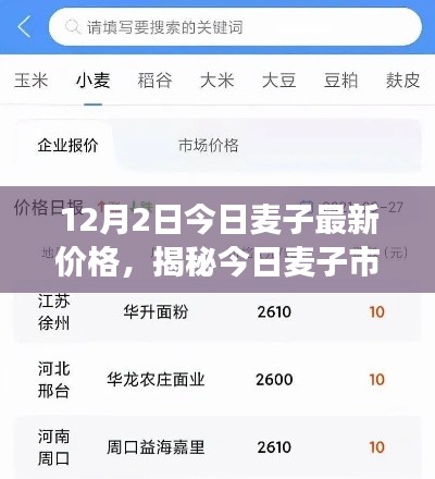 草率從事 第7頁