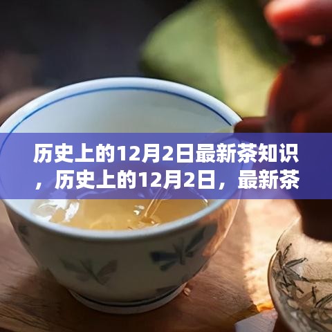 歷史上的12月2日茶知識(shí)大揭秘，最新學(xué)習(xí)全攻略