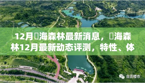 燊海森林12月最新動態(tài)評測，特性、體驗(yàn)、對比及用戶群體深度分析