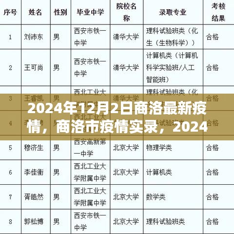 2024年12月商洛疫情最新實錄，疫情下的新篇章