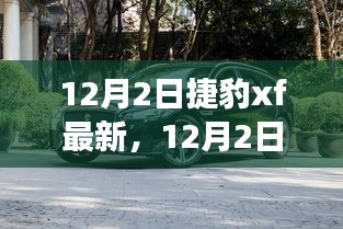 捷豹XF最新動態(tài)，與自然共舞，探尋寧靜之旅