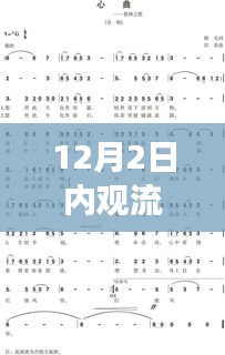 溫馨日常故事與內觀流心曲，最新歌曲發(fā)布