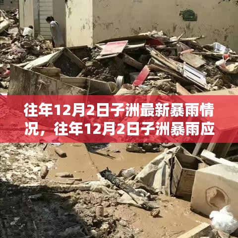 往年12月2日子洲暴雨實(shí)況及應(yīng)對(duì)指南，準(zhǔn)備與行動(dòng)步驟