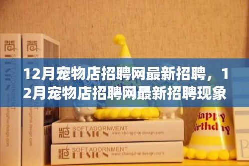 12月寵物店招聘網(wǎng)最新招聘現(xiàn)象解析，利弊探討與個(gè)人觀點(diǎn)