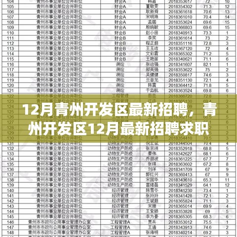 青州開發(fā)區(qū)12月最新招聘求職全流程指南，從準(zhǔn)備到面試成功的秘訣