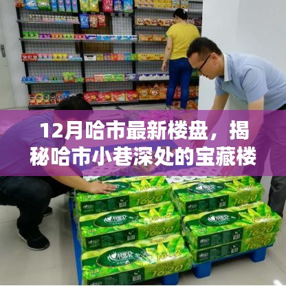 揭秘哈爾濱最新樓盤與小巷寶藏，特色樓盤與小店獨特魅力探秘