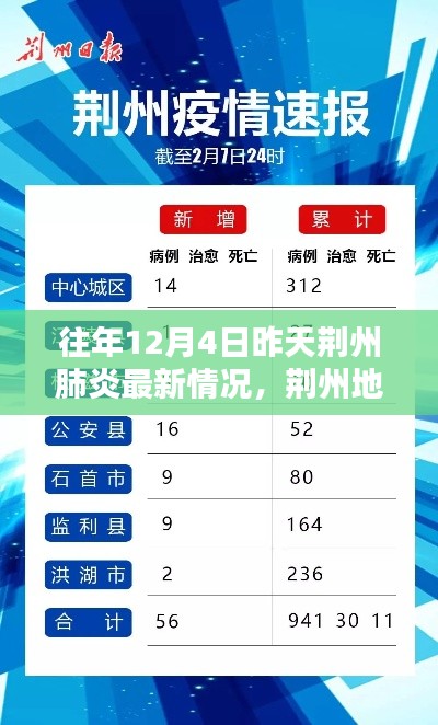 荊州地區(qū)往年12月4日昨日肺炎最新情況回顧與影響分析，回顧與啟示