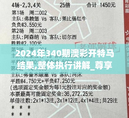 2024年340期澳彩開(kāi)特馬結(jié)果,整體執(zhí)行講解_尊享款52.393-4
