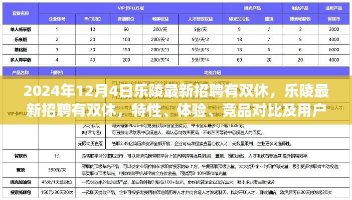 樂陵最新招聘特性解讀，雙休工作體驗與競品對比分析（XXXX年全新解讀）
