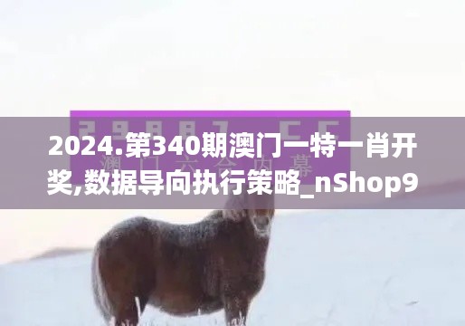 2024.第340期澳門一特一肖開獎,數據導向執(zhí)行策略_nShop9.428