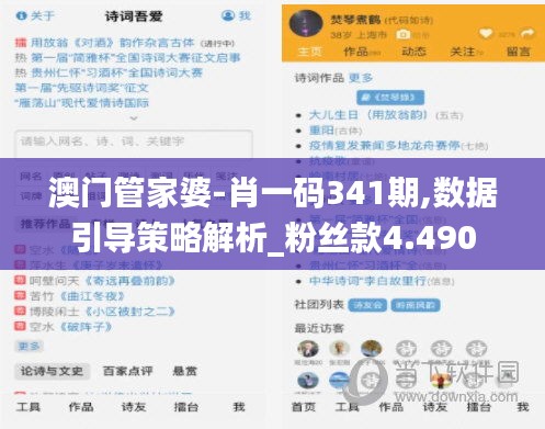 澳門(mén)管家婆-肖一碼341期,數(shù)據(jù)引導(dǎo)策略解析_粉絲款4.490